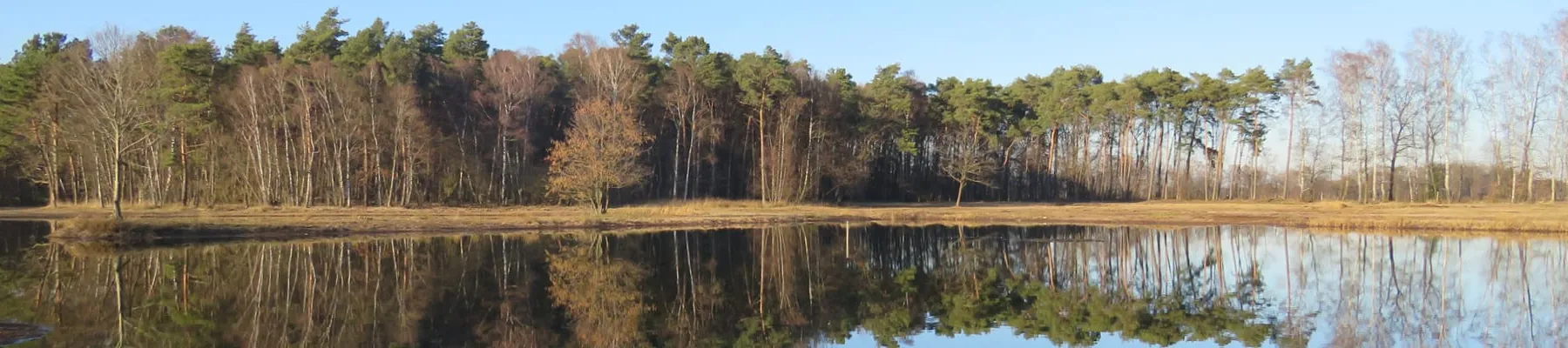 Panorama des Schnakenpohls: der Heideweiher, in dem sich der Waldrand spiegelt