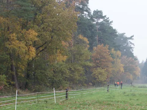 Foto aus der Galerie von Jägerschaft