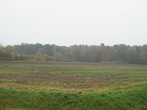 Foto aus der Galerie von Jägerschaft