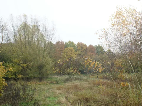 Foto aus der Galerie von Jägerschaft