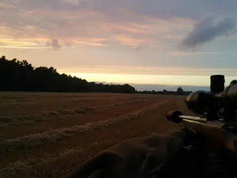 Foto aus der Galerie von Jägerschaft